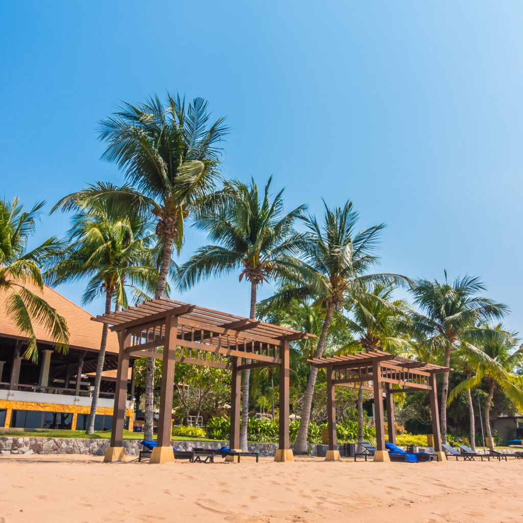 Beautiful beach and sea with palm tree