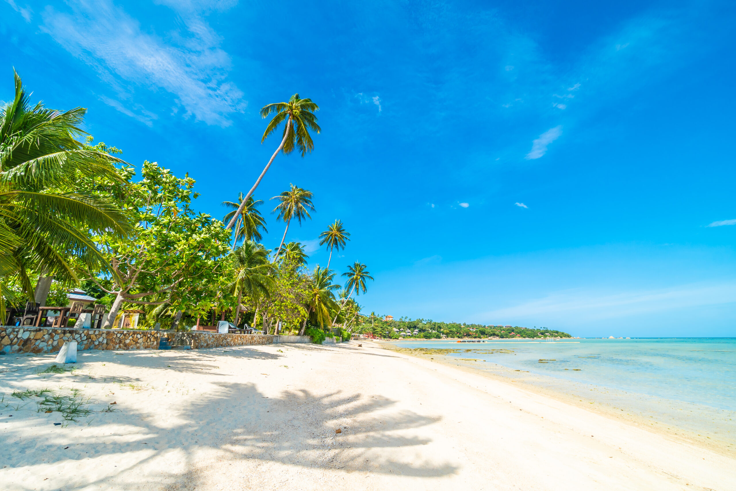 Beautiful tropical beach sea and sand with coconut palm tree on blue sky and white cloud for travel and vacation