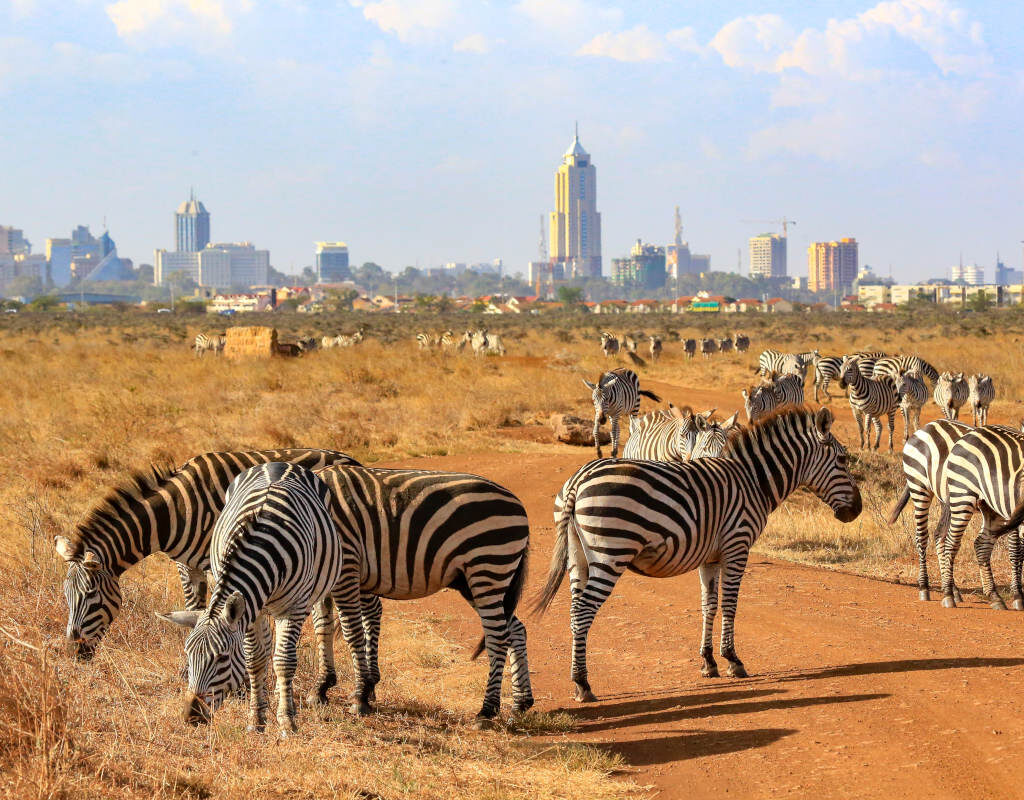 nairobi-national-park